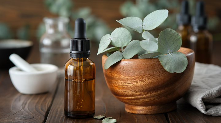 Tapping into the Power of Eucalyptus Essential Oil: A Versatile Remedy for Wellness