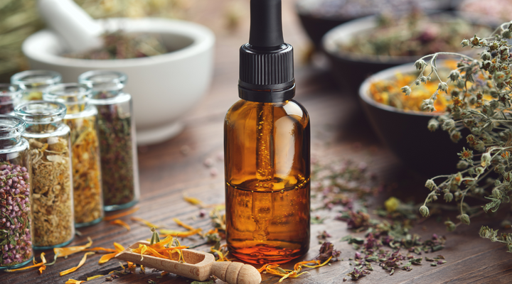 Essential Oils to Detoxify Your Fall: The Top Picks for Renewal