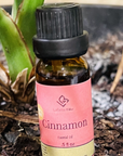Cinnamon Bark Essential Oil on potted plant