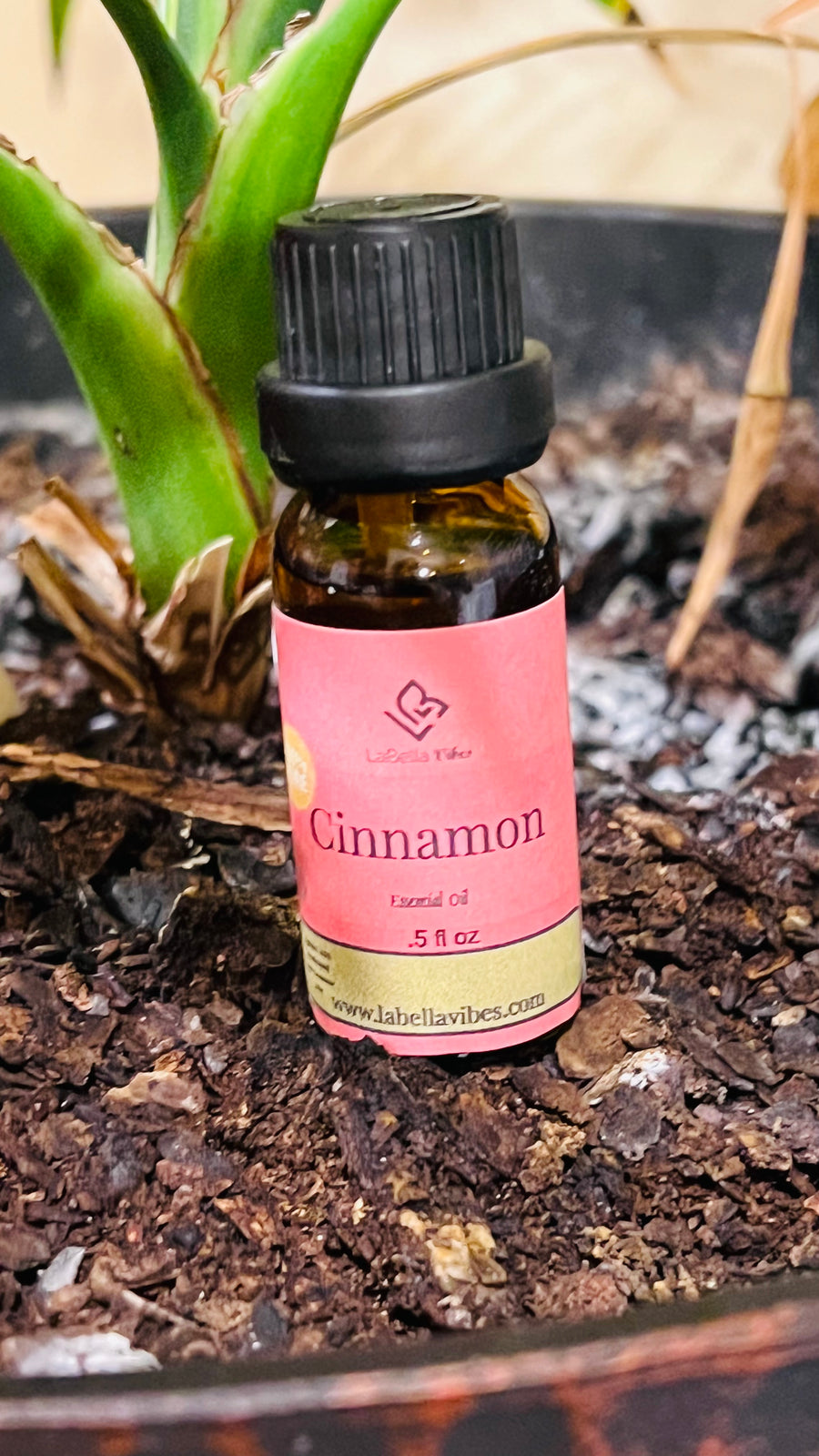 Cinnamon Bark Therapeutic Grade Essential Oil