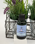 Lavender Pure Grade Essential Oil